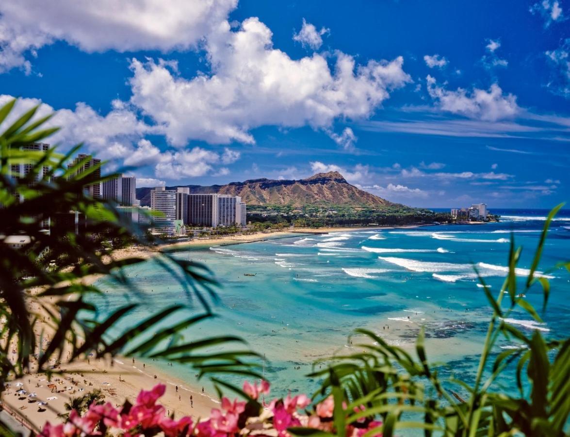 Diamond Head Views Retreat With Free Parking & Near Waikiki Beach! Honolulu Eksteriør bilde