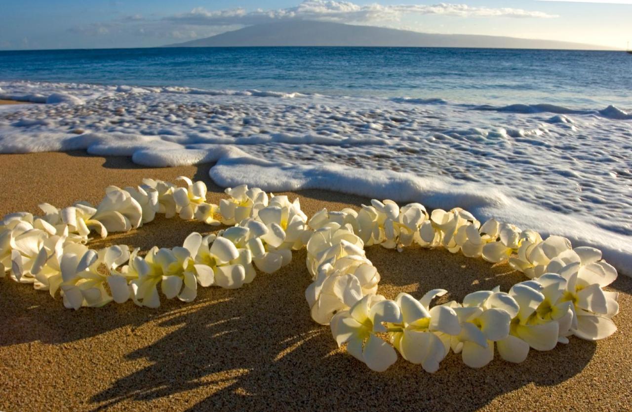 Diamond Head Views Retreat With Free Parking & Near Waikiki Beach! Honolulu Eksteriør bilde