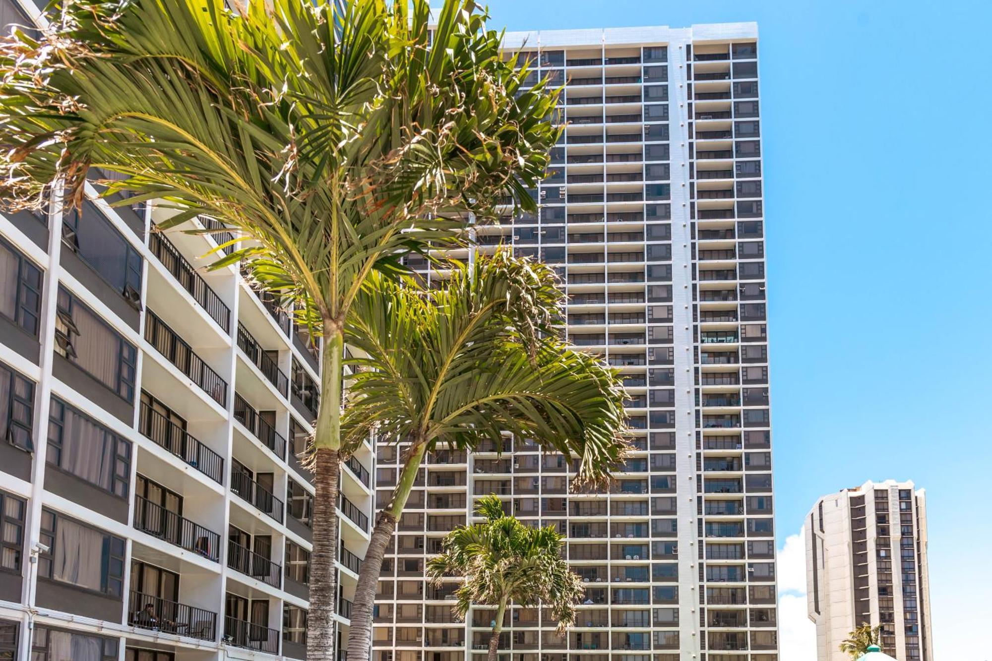 Diamond Head Views Retreat With Free Parking & Near Waikiki Beach! Honolulu Eksteriør bilde