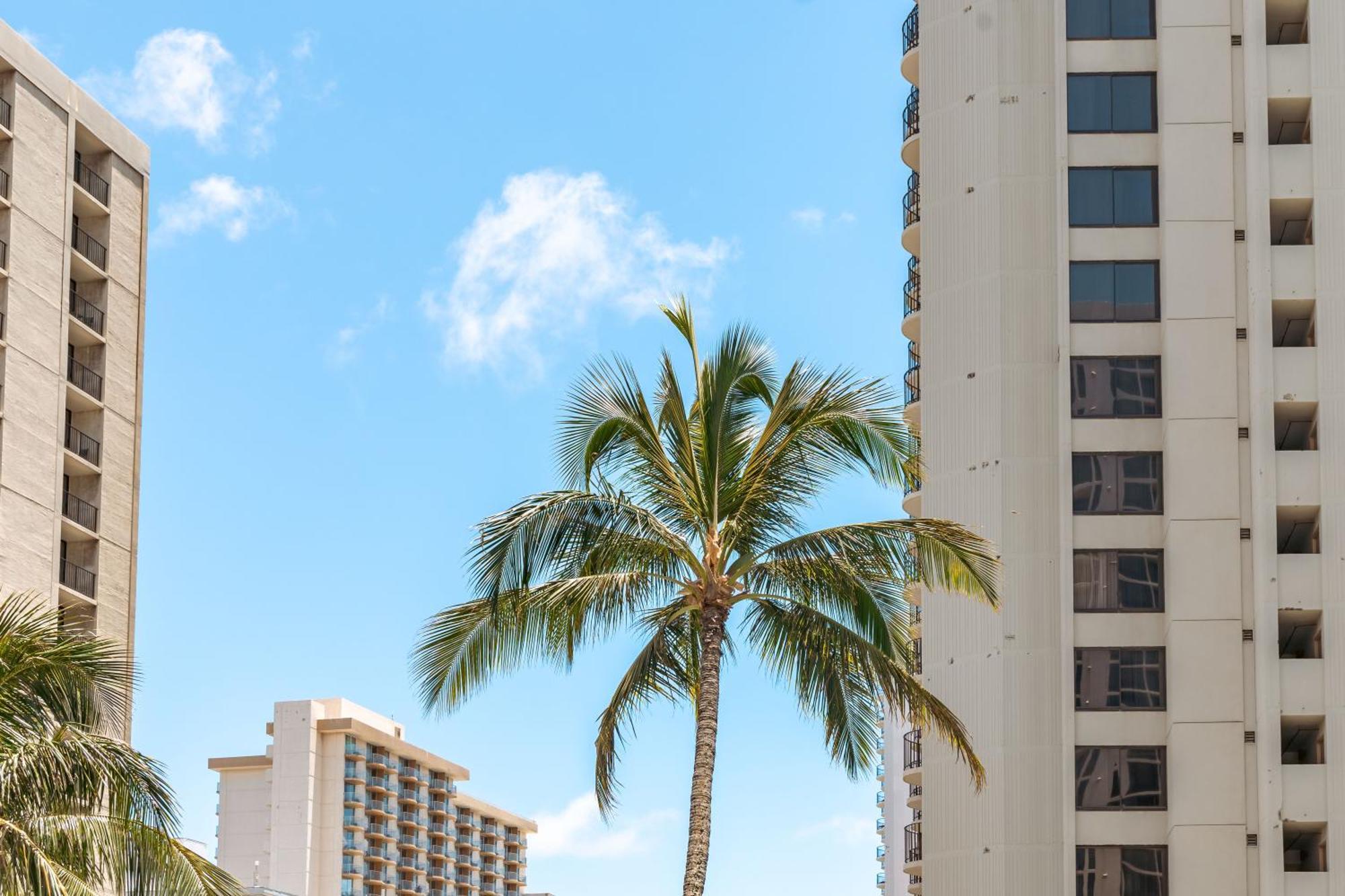Diamond Head Views Retreat With Free Parking & Near Waikiki Beach! Honolulu Eksteriør bilde
